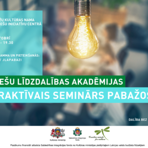 Interaktīvais seminārs par jauniešu līdzdalības iespējām